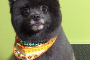 11月のお友達☆