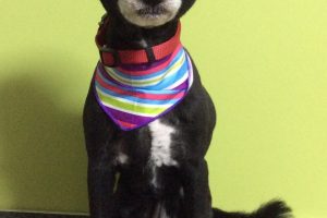 11月のお友達☆