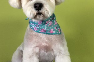 11月のお友達☆