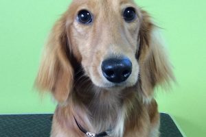 11月のお友達☆