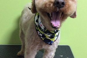 11月のお友達☆