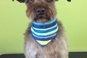 11月のお友達☆