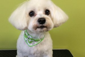 11月のお友達☆