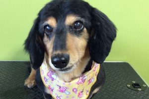 11月のお友達☆