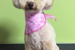 11月のお友達☆