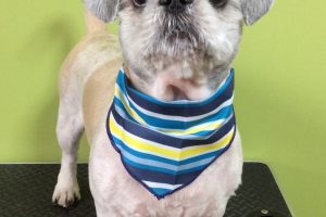 11月のお友達☆