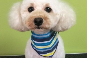 11月のお友達☆