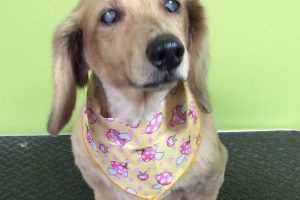 11月のお友達☆