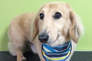 11月のお友達☆