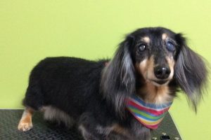 11月のお友達☆