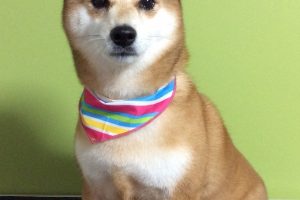 11月のお友達☆