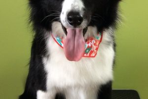 11月のお友達☆