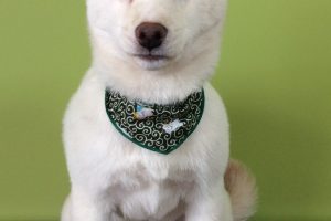 11月のお友達☆