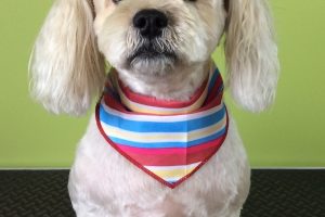 11月のお友達☆