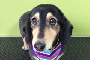 11月のお友達☆