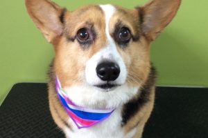 11月のお友達☆