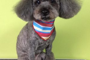 11月のお友達☆