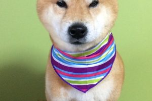 11月のお友達☆