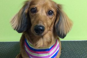 11月のお友達☆