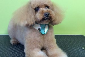 11月のお友達☆