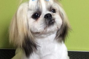 11月のお友達☆