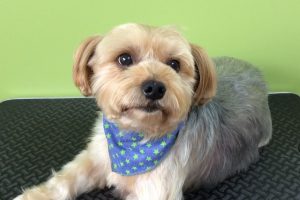 11月のお友達☆