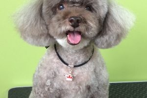 11月のお友達☆