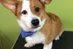 11月のお友達☆