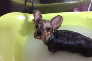 11月のお友達☆