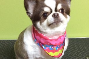 11月のお友達☆