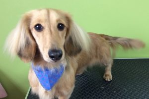 11月のお友達☆