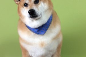 11月のお友達☆