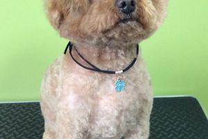 11月のお友達☆