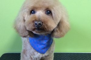 11月のお友達☆