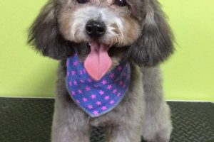 11月のお友達☆