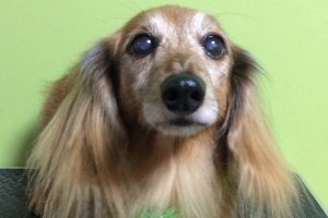 11月のお友達☆