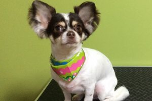 11月のお友達☆