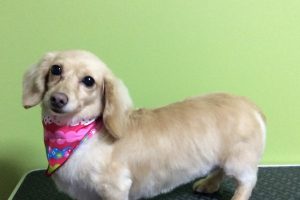 11月のお友達☆