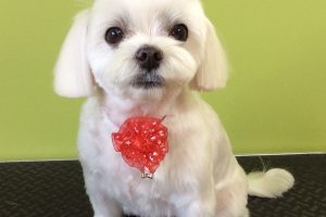 11月のお友達☆