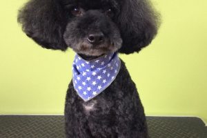 11月のお友達☆