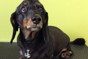 11月のお友達☆