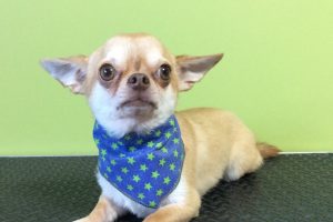 11月のお友達☆