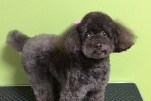 11月のお友達☆