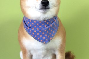 11月のお友達☆