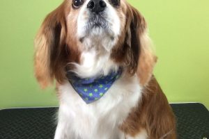 11月のお友達☆