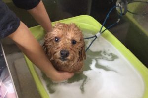 11月のお友達☆