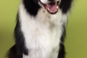 11月のお友達☆