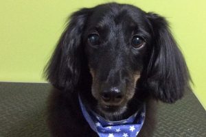 11月のお友達☆