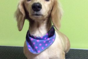 11月のお友達☆