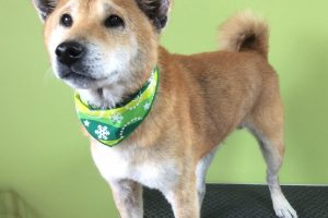 11月のお友達☆